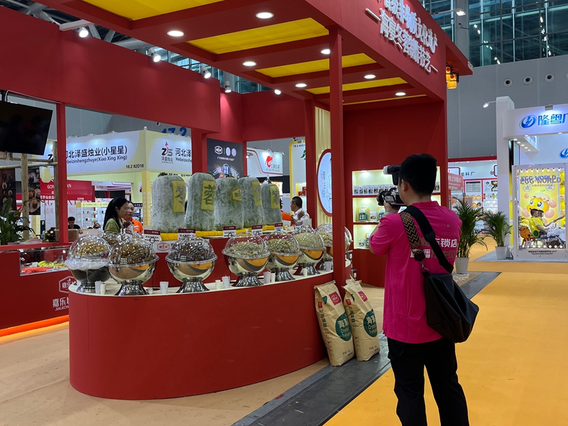 JIALECHENG